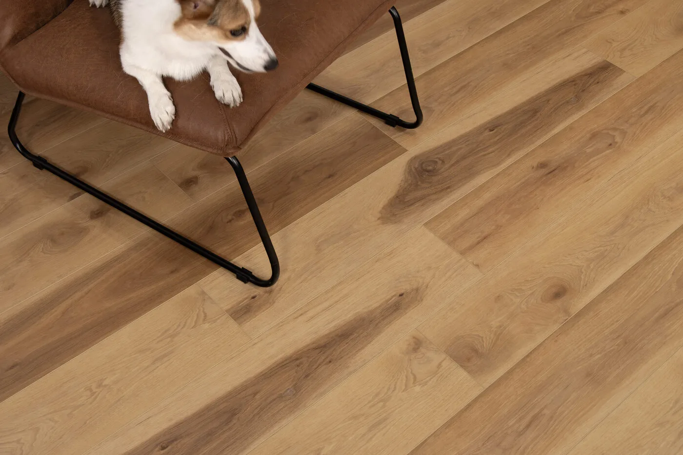 South Seas Oak view 3